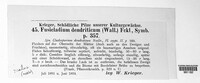 Venturia inaequalis image